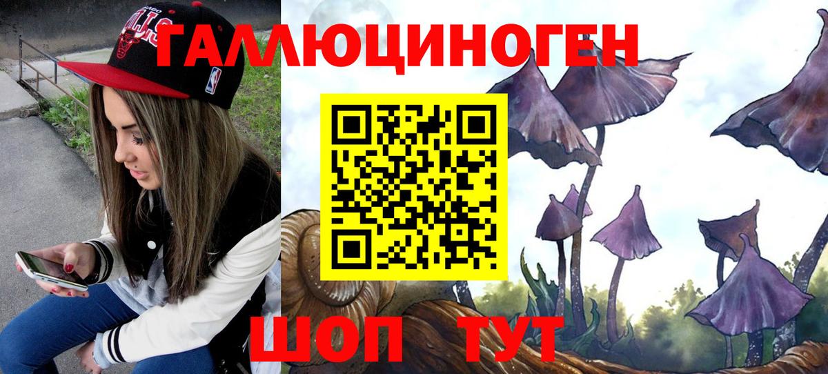 купить   Псилоцибиновые грибы Cubensis  Вход с VPN  Коряжма 