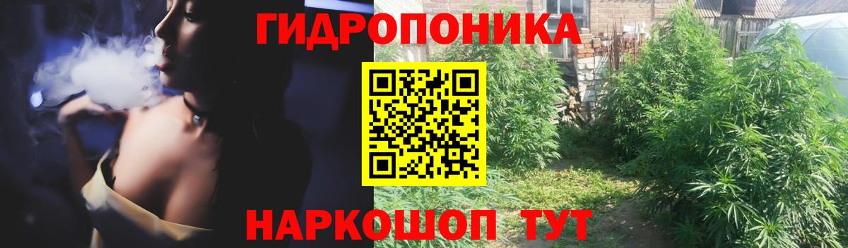 Бошки Шишки планчик  Бошки марихуана White Widow  Коряжма  Вход с VPN  Конопля LSD WEED 